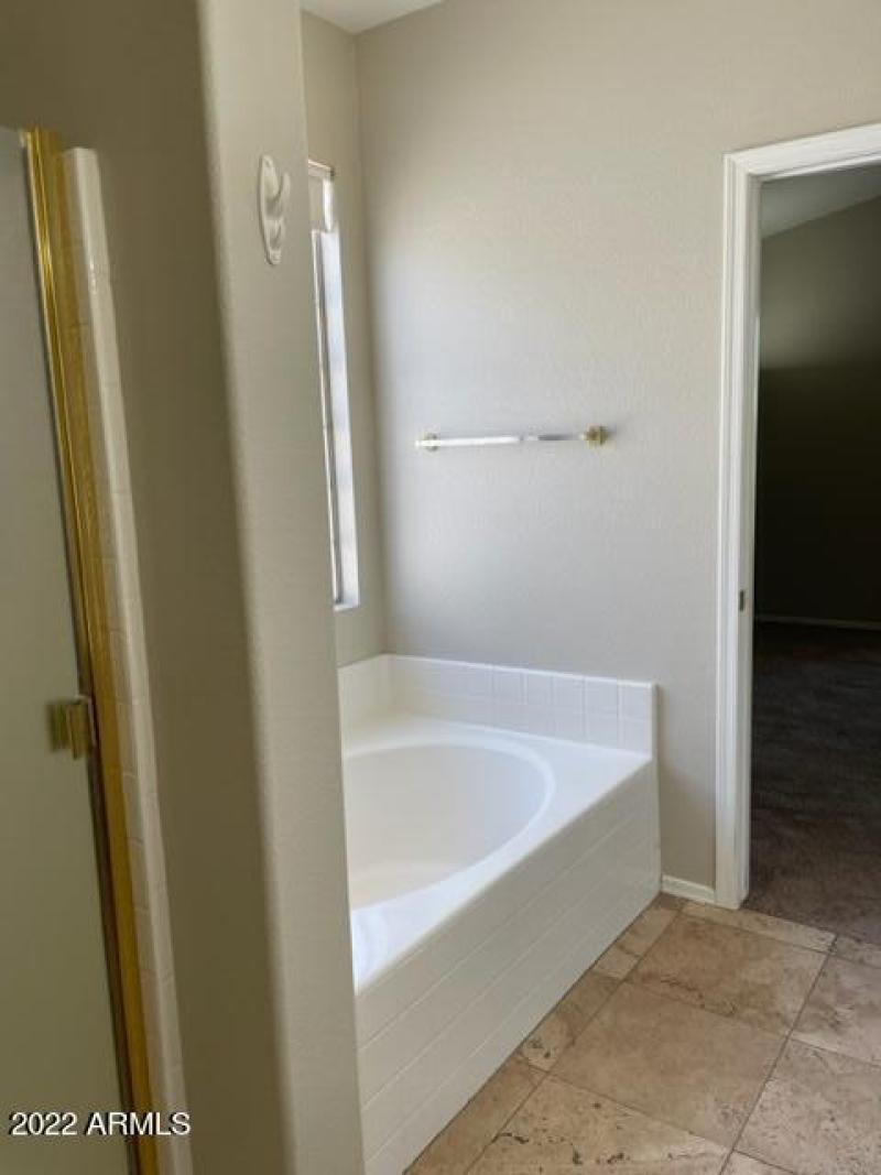 Master Tub and Shower