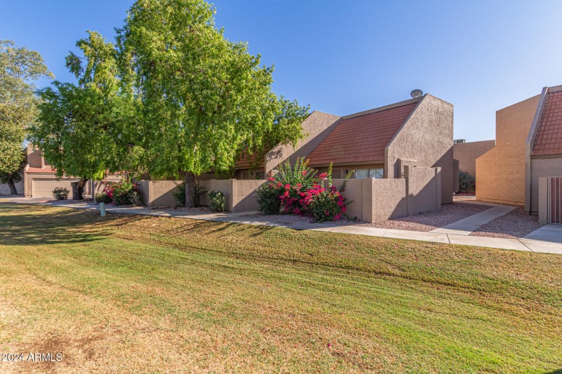 0004-01-Orangewood
