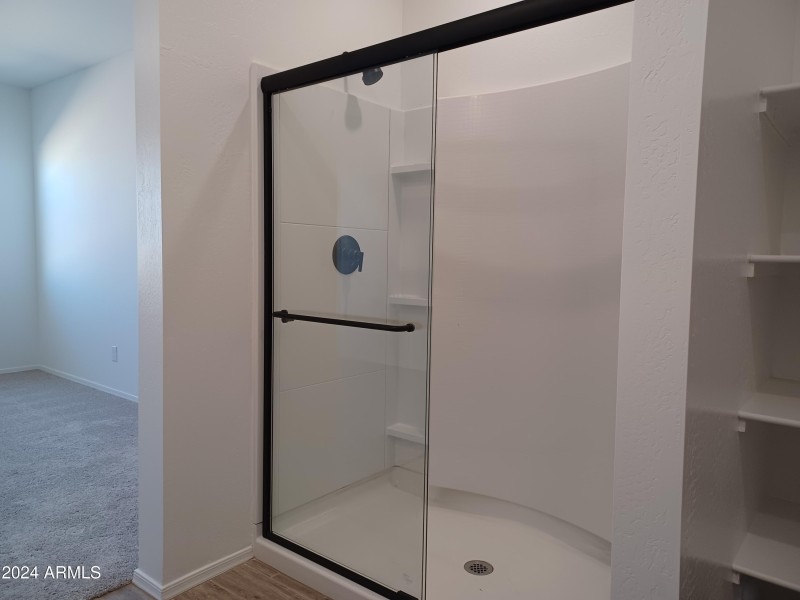 023 Primary Bath Shower