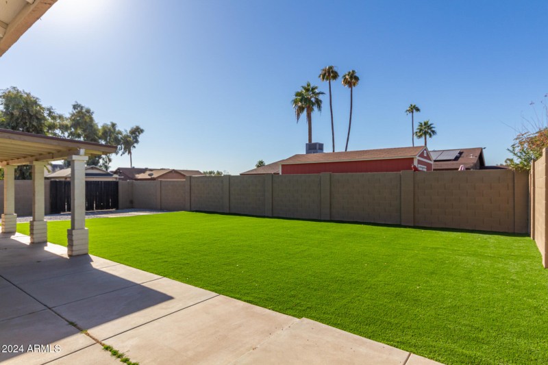 46 Back Yard (3)