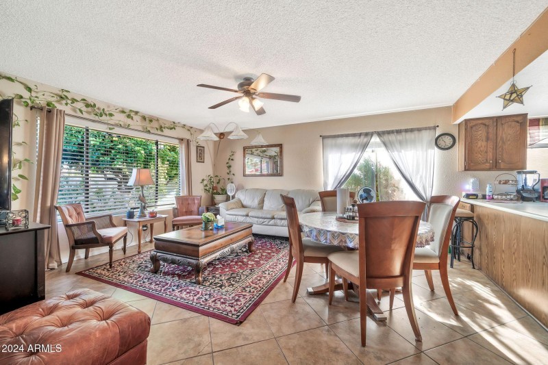 18903 N 97th Ln-11