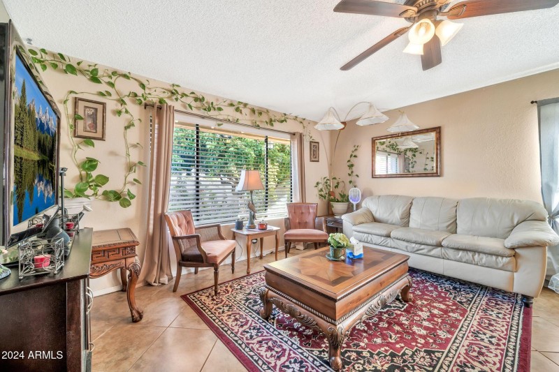 18903 N 97th Ln-12