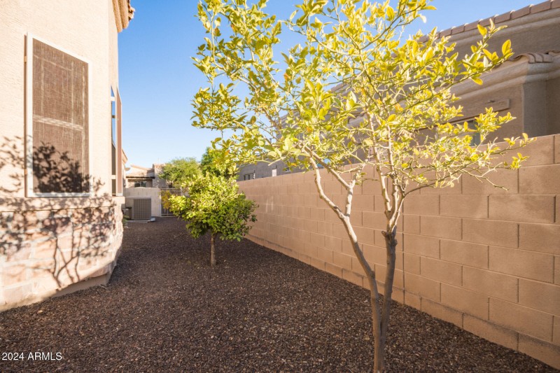 Fruit Trees