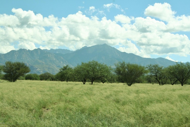 Montosa IMG_5617
