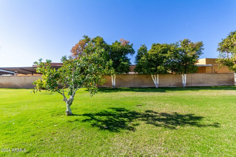 Yard - Blick wall