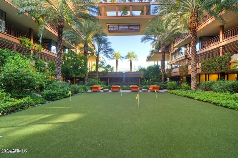 grounds optima