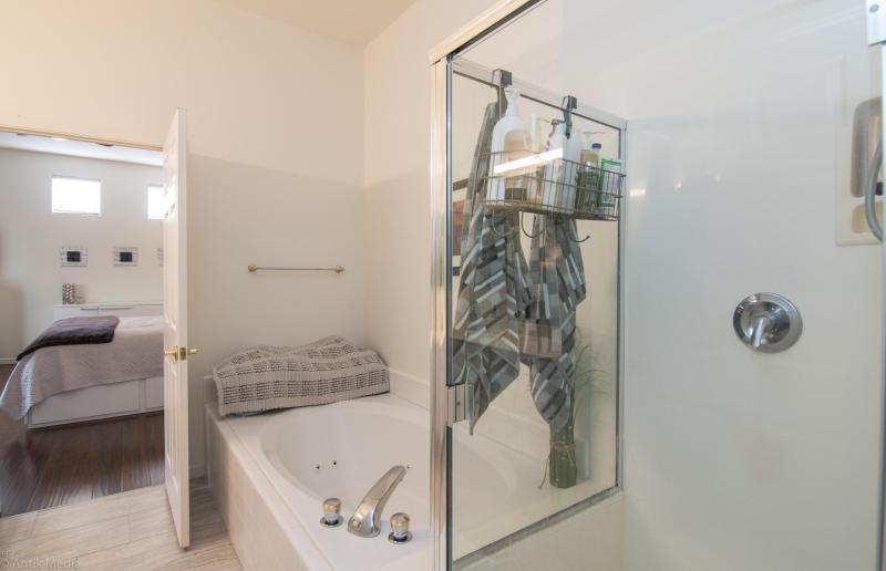 primary Tub and Shower