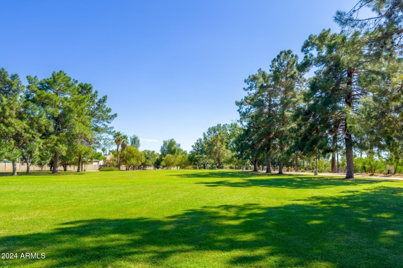 Park & Play area