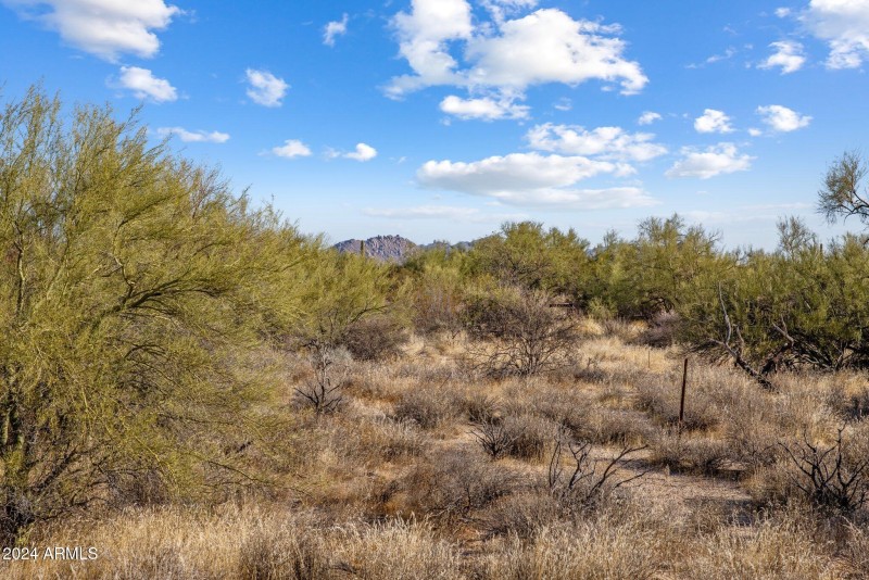 4-web-or-mls-D46A4940