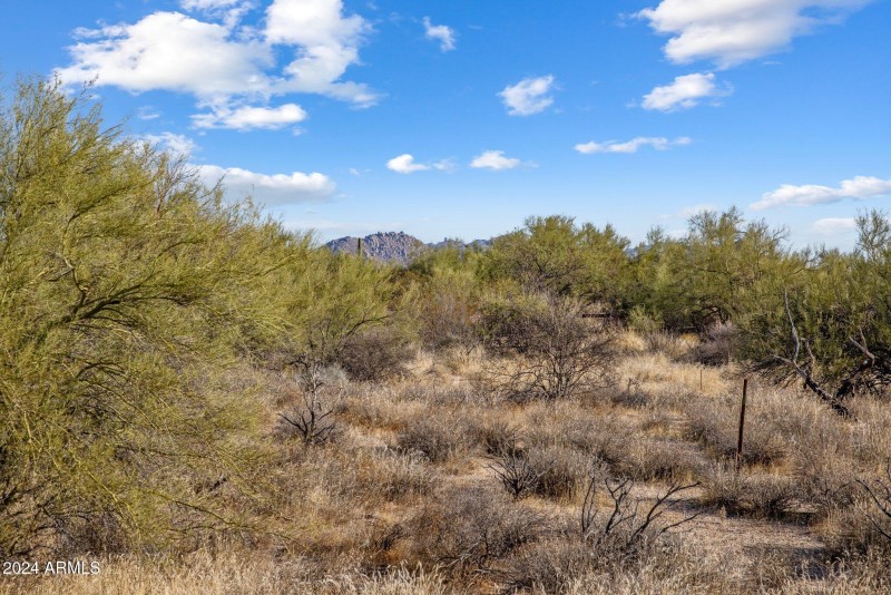 5-web-or-mls-D46A4947