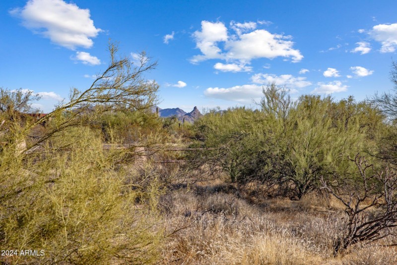 7-web-or-mls-D46A4961