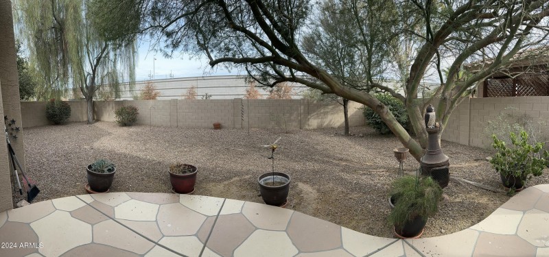 backyard