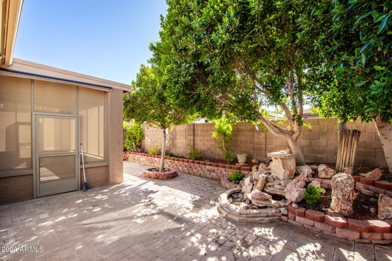 backyard