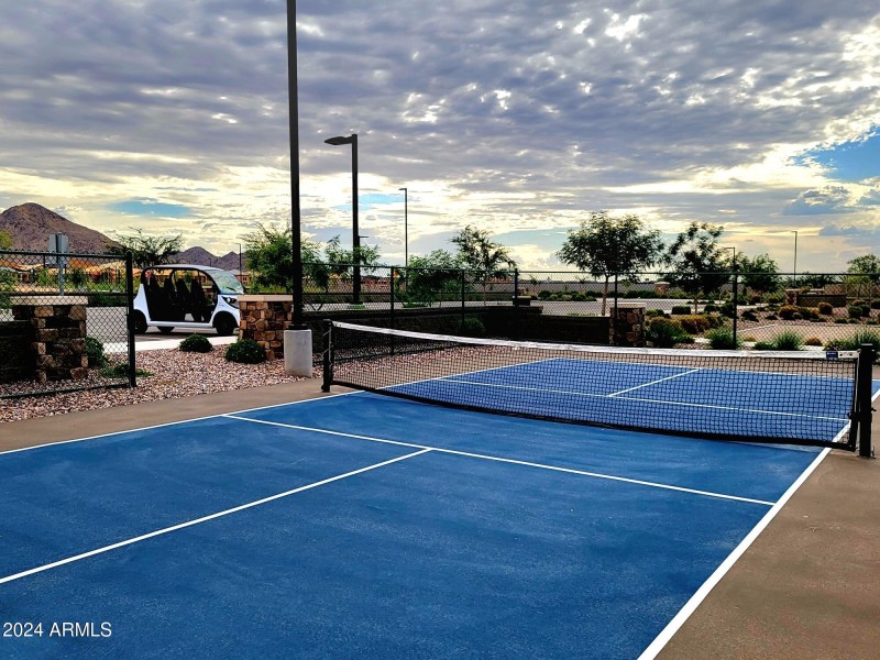 Pickle Ball