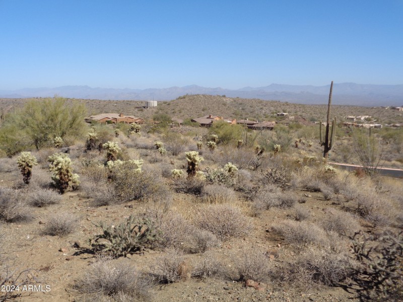 Landscape 2