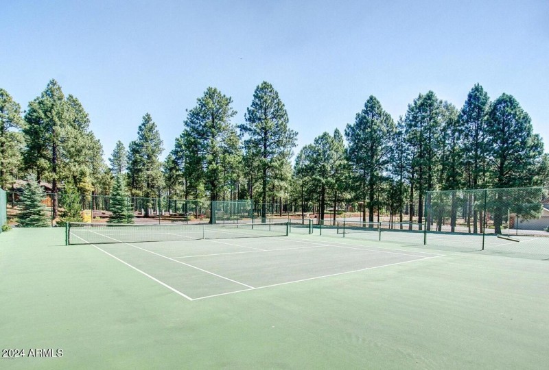 tennis pickleball
