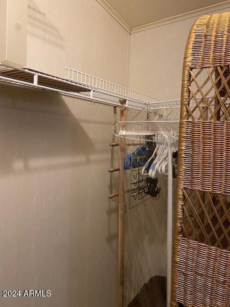 Master Walk-in closet