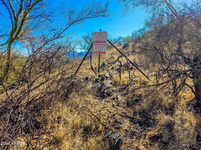 preserve bordfer in a thicket
