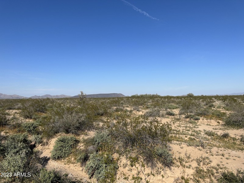 Photo Mar 04 2023, 3 20 43 PM