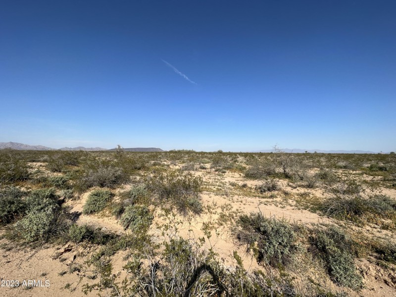 Photo Mar 04 2023, 3 20 46 PM