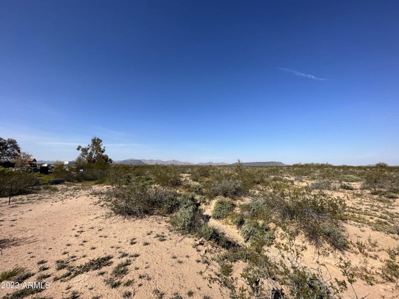 Photo Mar 04 2023, 3 20 53 PM