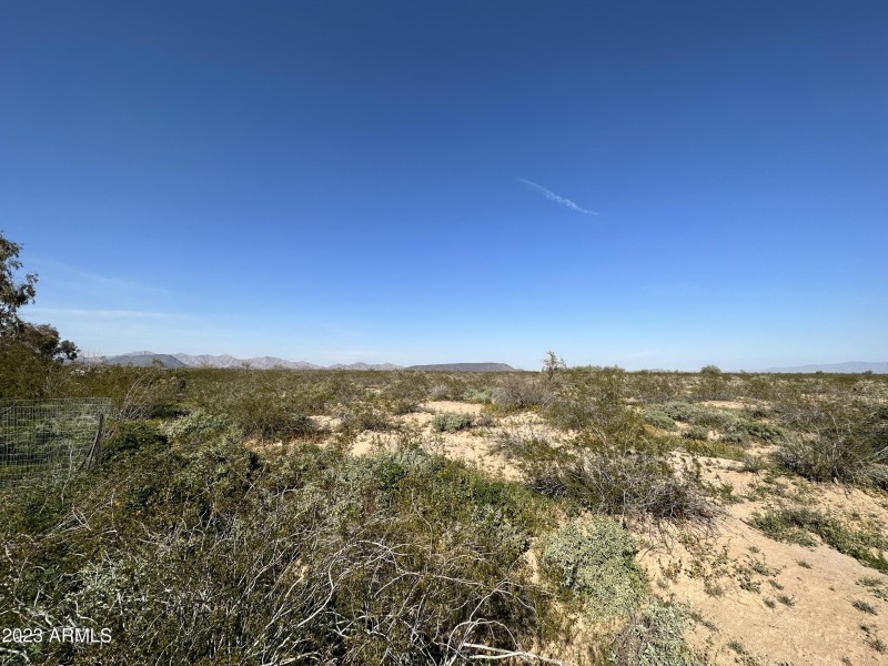 Photo Mar 04 2023, 3 21 17 PM