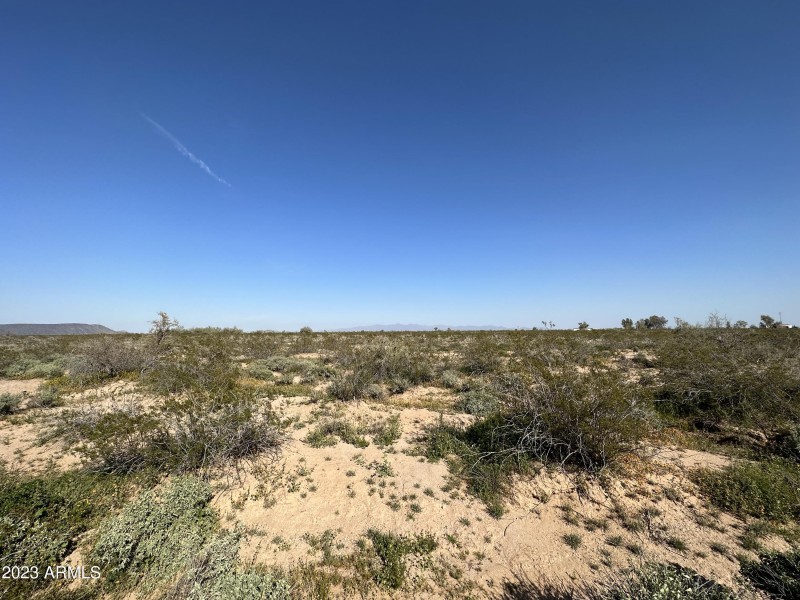 Photo Mar 04 2023, 3 21 20 PM