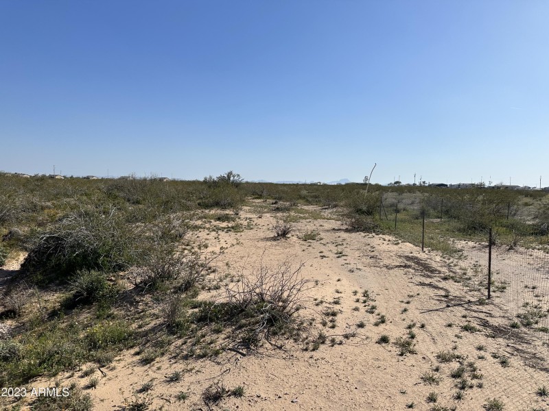 Photo Mar 04 2023, 3 21 40 PM