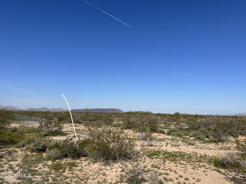 Photo Mar 04 2023, 3 18 01 PM