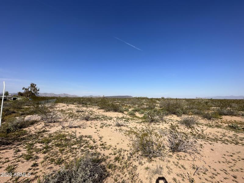 Photo Mar 04 2023, 3 18 45 PM