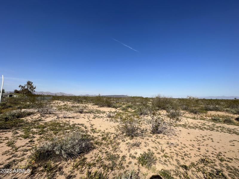 Photo Mar 04 2023, 3 18 54 PM