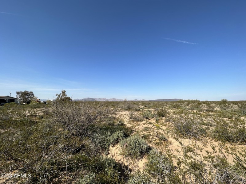 Photo Mar 04 2023, 3 19 18 PM