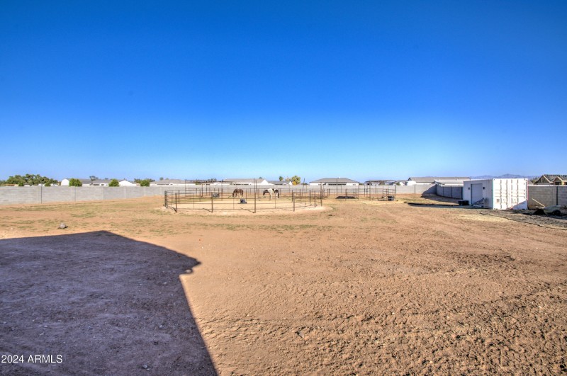 Back yard