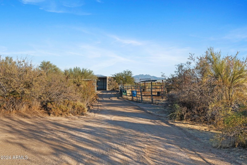 Driveway
