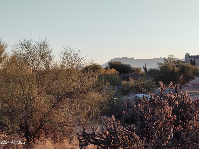 Desert Lifestyle Living