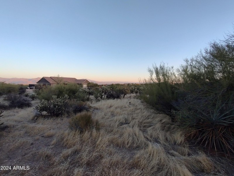 Peaceful Desert Living