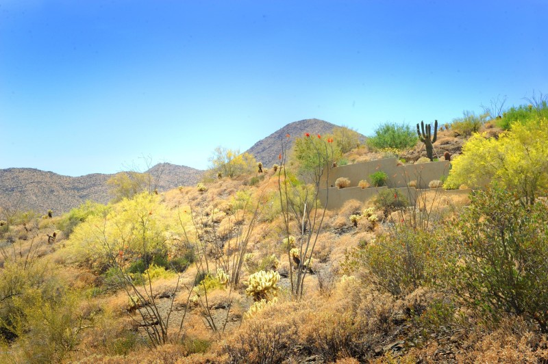 14317 E MOURNING DOVE DR 86