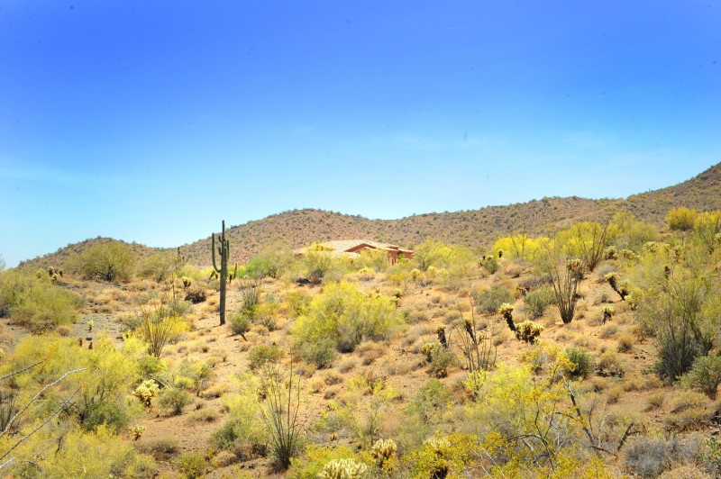 14317 E MOURNING DOVE DR 86