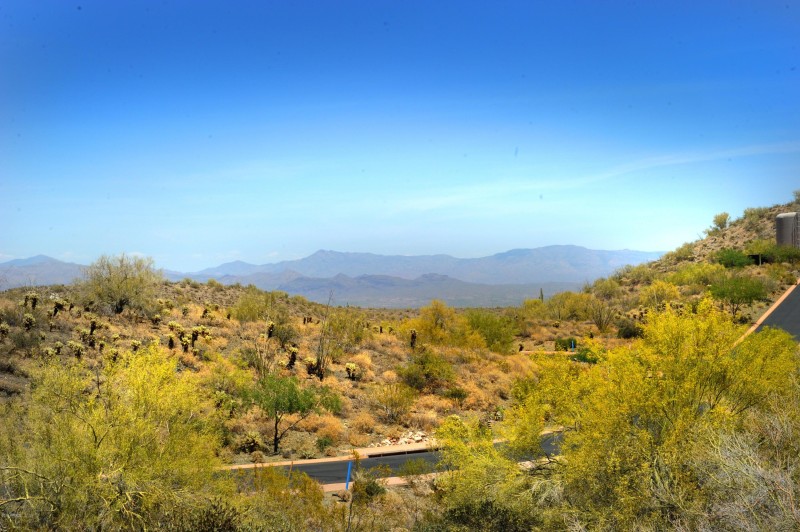 14317 E MOURNING DOVE DR 86