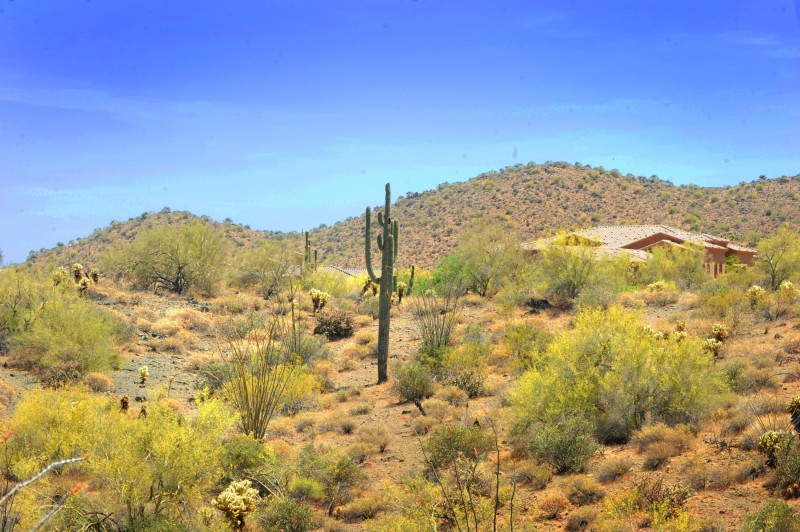 14317 E MOURNING DOVE DR 86