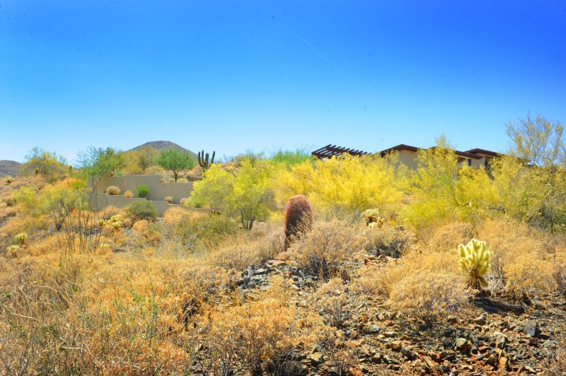 14317 E MOURNING DOVE DR 86