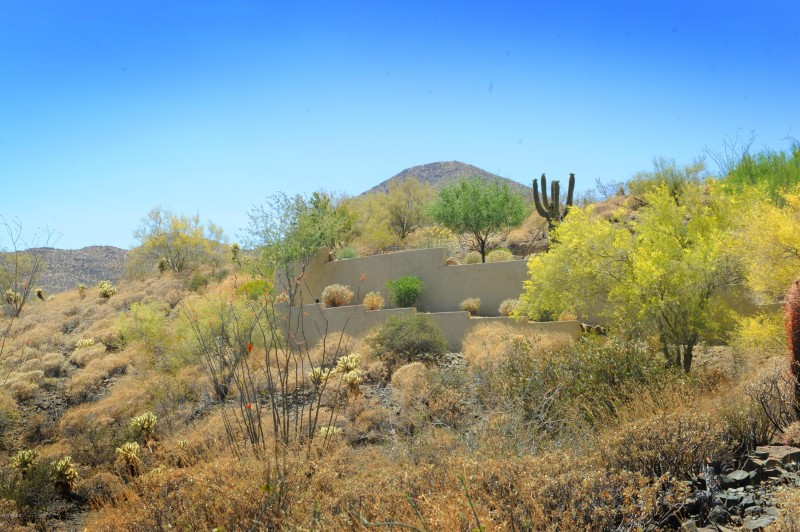 14317 E MOURNING DOVE DR 86