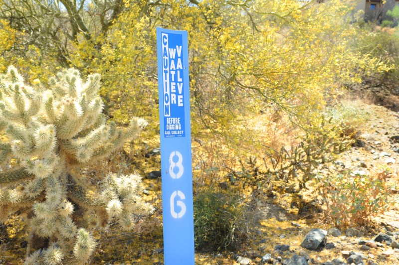 14317 E MOURNING DOVE DR 86