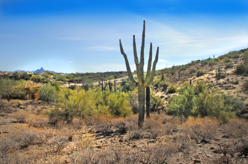 11664 N SUNSET VISTA Drive, 45