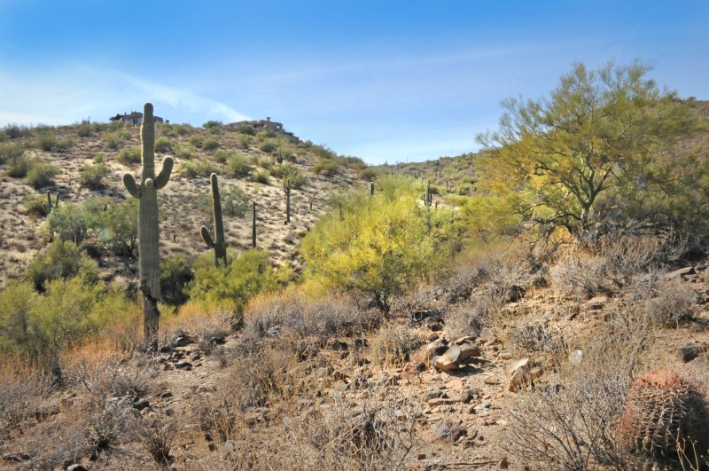 11664 N SUNSET VISTA Drive, 45