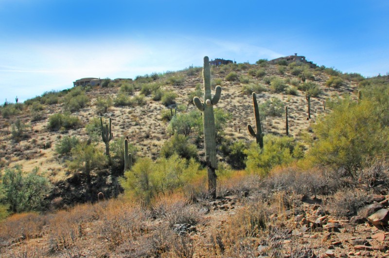 11664 N SUNSET VISTA Drive, 45