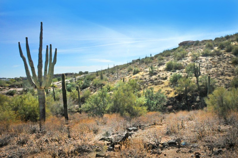 11664 N SUNSET VISTA Drive, 45