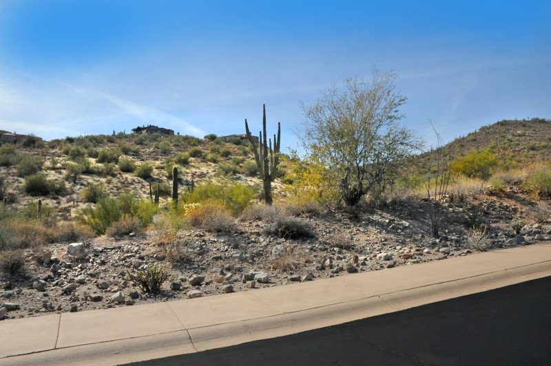 11664 N SUNSET VISTA Drive, 45
