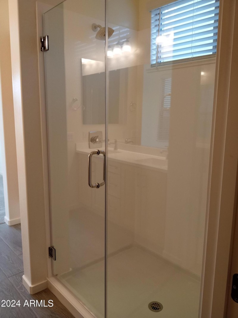Primary Shower