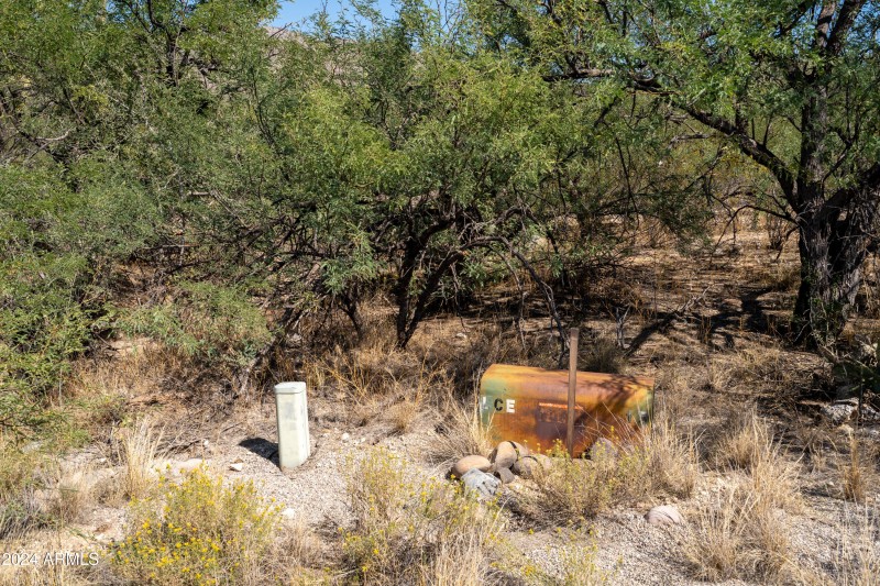 2 ground photos-6 (2)